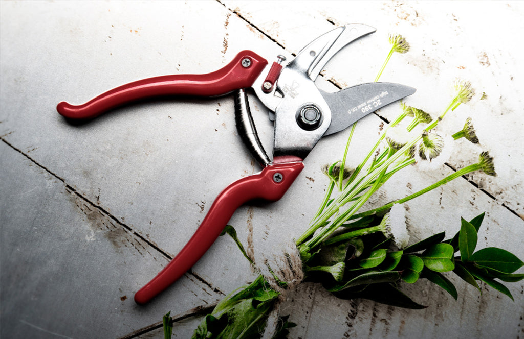 DueCigni Cutlery